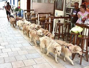 Bodrum’s ‘Golden Gang’