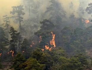 Greek Cypriots accept Turkish help to fight forest fire