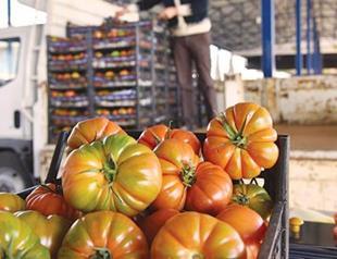 Association asks for delay in farmers’ debts as Russian crisis, natural disasters hit sector