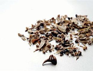 Ancient city sheds light on Tokat’s gastronomic past