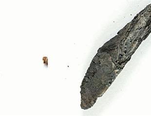 Digitally unwrapped scroll reveals earliest Old Testament scripture