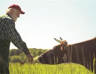 Bozcaada to host ecological documentary fest