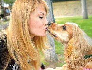 Pet paintings support Turkey’s stray animals in new HAYTAP project