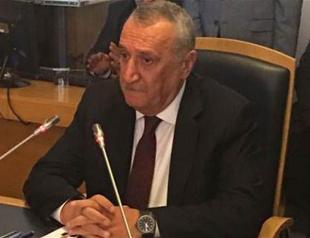 Foreign intel agencies behind Gülenists: former minister