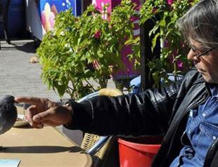 Man taking care of blind pigeon in Turkey’s Amasya