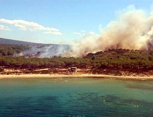Forests in Turkey’s Gallipoli catch fire
