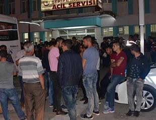 Fight between Syrians, Turks over stray dog leaves two dead in central Turkey