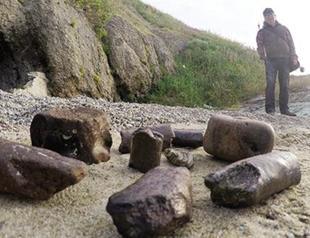 Hobby objects turn out to be fossils in Turkeys northwest