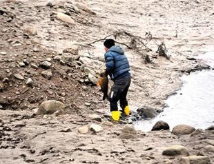 Agricultural association warns of potential grain production loss due to drought in Turkey