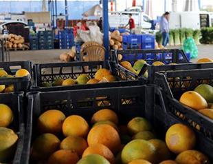 Turkey’s annual inflation eases to 7 percent after food prices decline