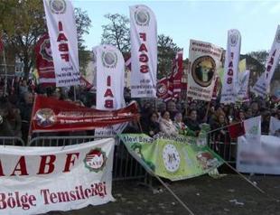 Alevis in Europe suspends ties with umbrella organization