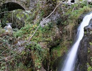 Living cultural treasure brings in visitors in Giresun
