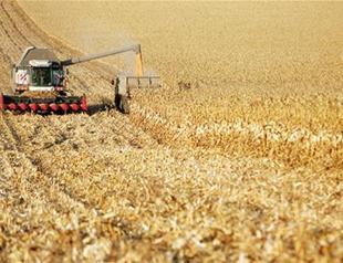 Turkey, Russia to discuss trade on agricultural products in Sochi