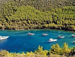 Turkey’s protected sites gets reviewed, introduces new categorization