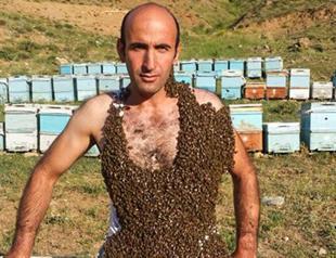 Turkish beekeeper seeks world record
