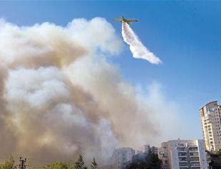 Foreign firefighters help Israel combat wildfire plague