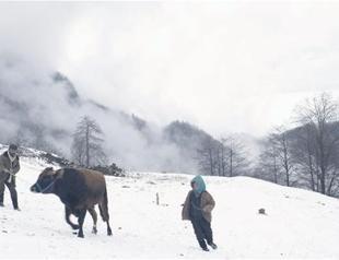 Turkish film gets three awards at APSA