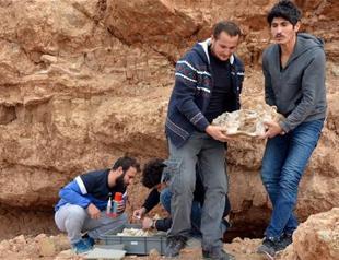 Ancient fossils to be displayed in Cappadocia
