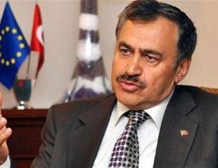 Gülen will die in US and be buried in Jewish cemetery: Turkish forestry minister