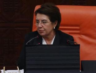 German envoy visits Turkish deputy speaker, expresses sorrow over mistreatment by German police