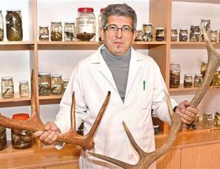 Zoology Museum displays animals, serve academics