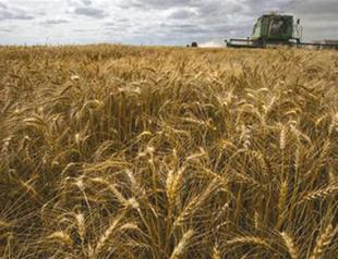 Russia drops fruit, vegetable ban on Egypt