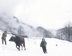 ‘Cold of Kalandar’ is Turkey’s Oscar entry