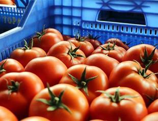 Technical infrastructure for early warning system on food prices in Turkey to be completed soon