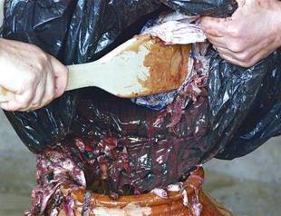 Ancient sauce fermented for workshop guests