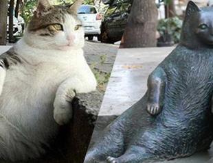 Sculpture of Istanbul’s cat phenomenon ‘Tombili’ to be inaugurated on Oct 4