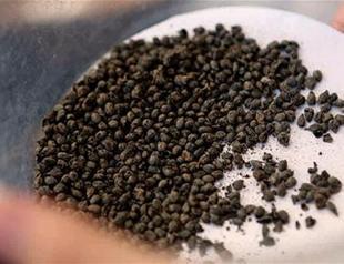 Interest grows in İzmir’s oldest settlement