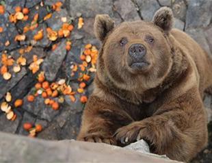 Visitors enjoying Turkey’s ‘genbank’