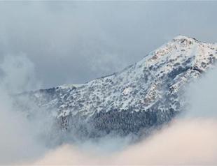 Around 30 people feared dead in Italy avalanche