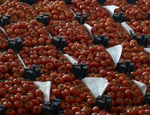 Middlemen in target in move to curb food prices