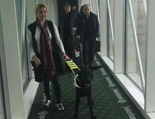 BLOG: Gaining independence with Turkey’s first guide dog Kara