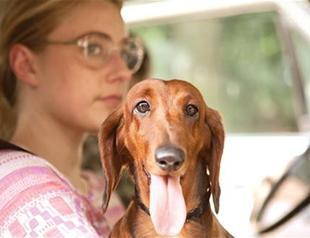 Tales of Tails on screen at Pera