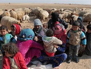 Ankara suggests ‘Mosul model’ for Raqqa operation