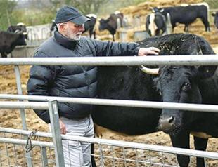 Brexit sows seeds of doubt for British farmers