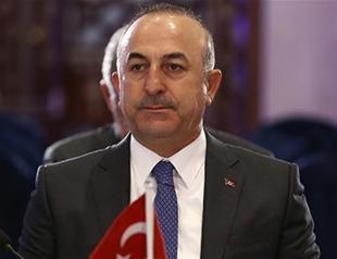 Turkish FM says over 5,500 Turkish citizens arrested and convicted in 147 countries