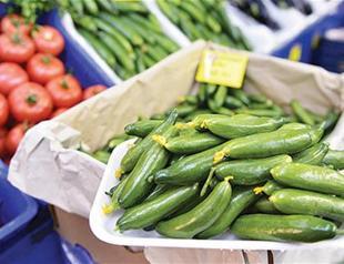 Russian agricultural watchdog ‘has no plans to lift restrictions on Turkish produce’