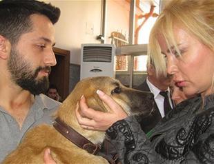 Puppy famed for being rescued from well in Istanbul discharged from hospital after it fell sick