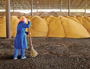 Russia says Turkey’s action over Russian products crimping ties