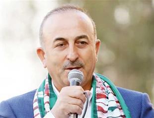 Around 50,000 return to areas cleared of terrorists in Syria, Turkish says