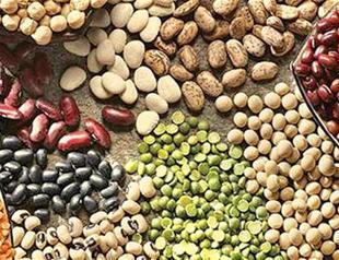 EBRD supports growth of Turkish agribusiness firm through new loan