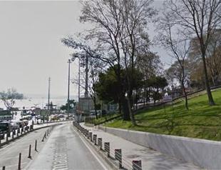 Mysterious beehives in park overlooking Bosphorus in Istanbul raise questions