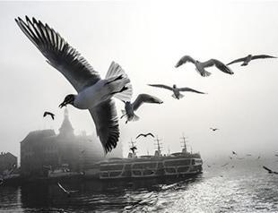 Turkey can convince Booking.com to expand into country: Minister