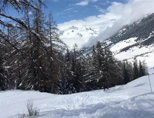 V for Val Cenis and vegan vine leafs