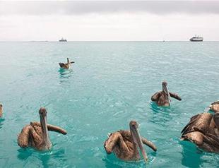 Ethical priorities to help ease climate change