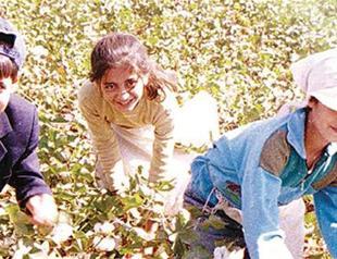 Turkish Labor Ministry names 2018 ‘fight against child labor year’