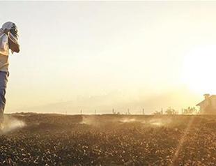 European bank’s support for Turkish agriculture hits 1 bln euros